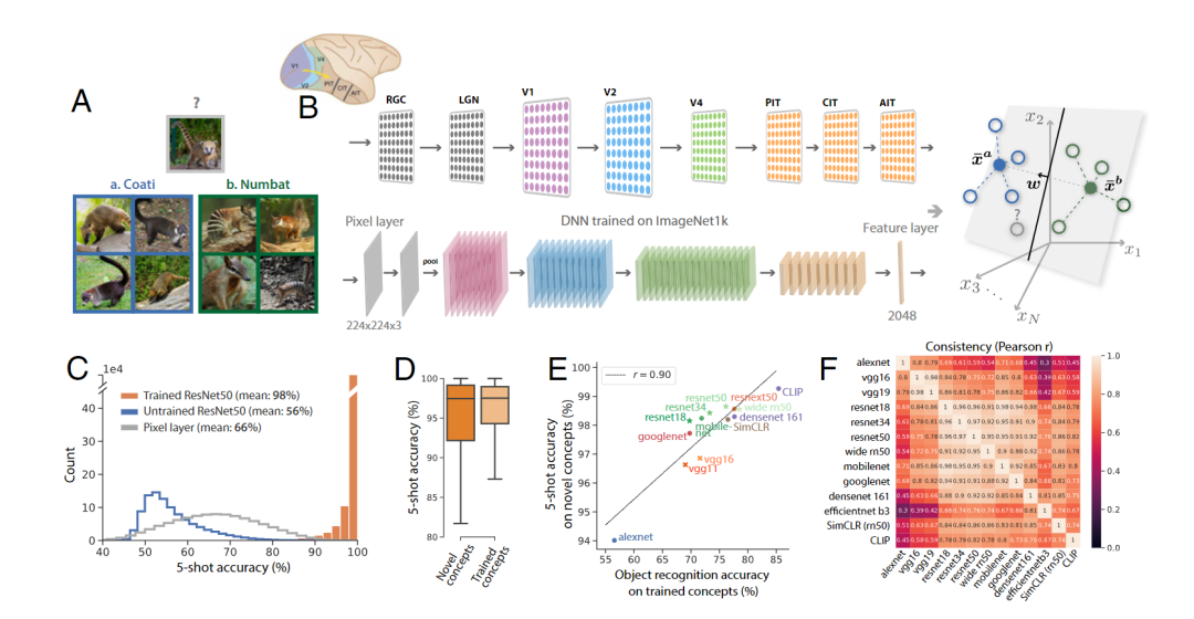 LeCun的世界模型出场!Meta震撼发布首个「类人」模型,理解世界后补全半张图,自监督学习众望所归