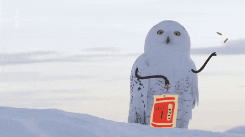 英伟达25年路线图惊爆流出!老黄豪赌B100暴打AMD,秘密武器X100曝光