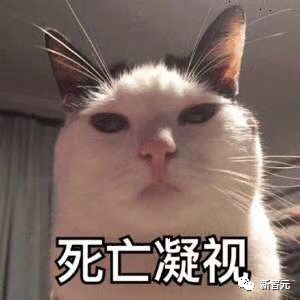 GPT-4就是AGI!谷歌斯坦福科学家揭秘大模型如何超智能