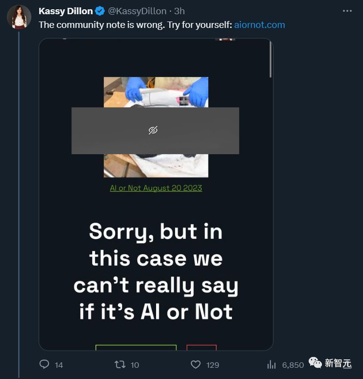 千万人围观「烧焦婴儿」图片!伯克利教授辟谣:AI图片检测器无用