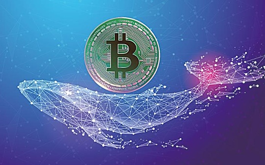 Sei Labs联创:全球动荡将突出比特币的价值 Sei Labs联创:全球动荡将突出比特币的价值