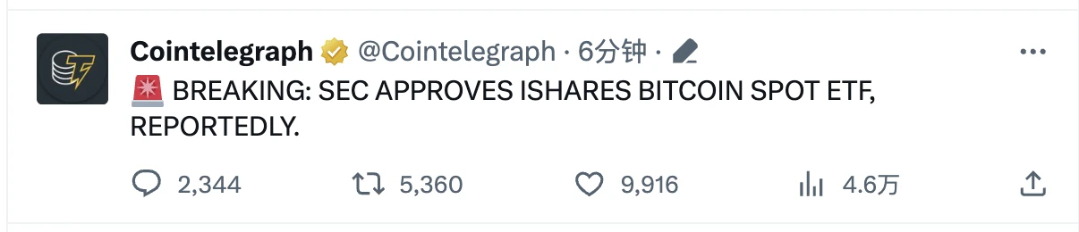 一条假新闻,一场爆仓过亿美元的牛市幻影