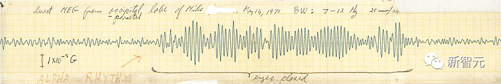 AI 读脑成真,延迟仅 0.25 秒!Meta 里程碑新研究:MEG实时解码大脑图像,LeCun转赞