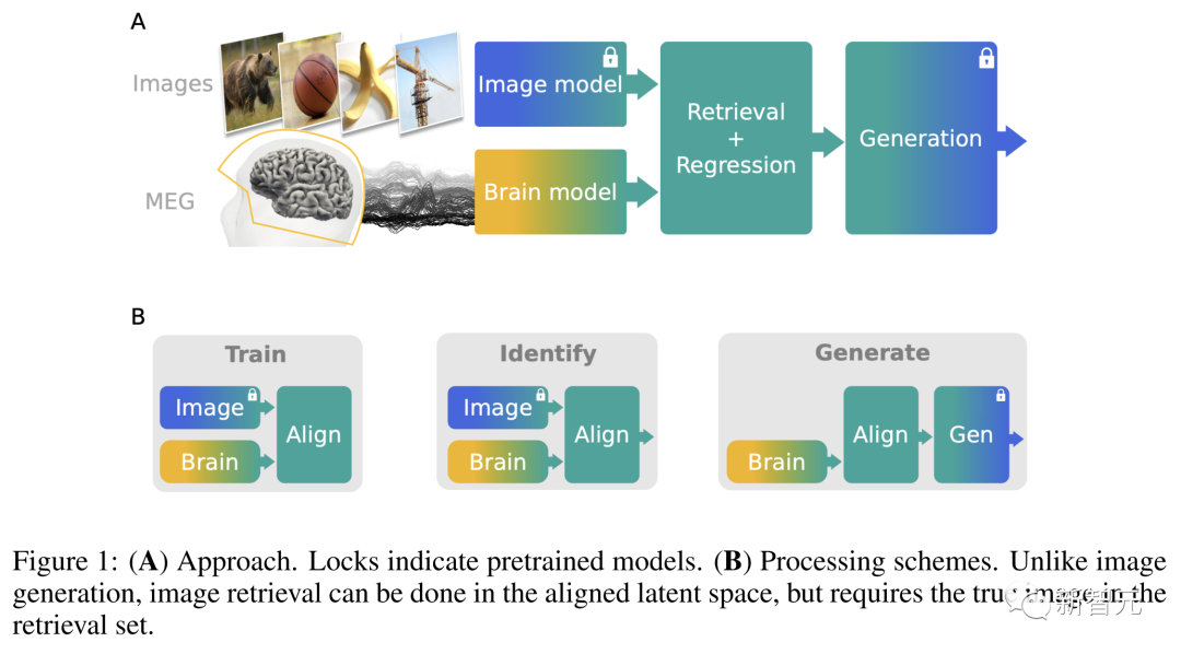 AI 读脑成真,延迟仅 0.25 秒!Meta 里程碑新研究:MEG实时解码大脑图像,LeCun转赞