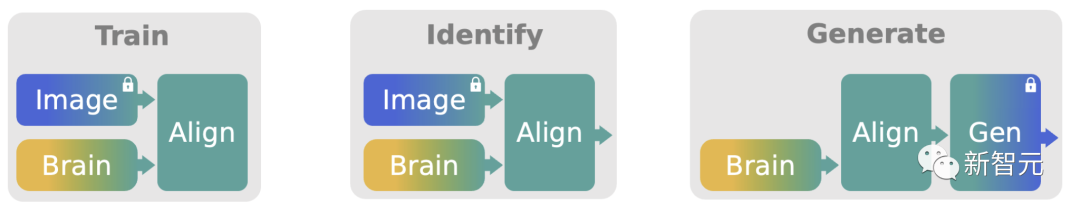 AI 读脑成真,延迟仅 0.25 秒!Meta 里程碑新研究:MEG实时解码大脑图像,LeCun转赞