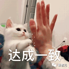 AI 读脑成真,延迟仅 0.25 秒!Meta 里程碑新研究:MEG实时解码大脑图像,LeCun转赞