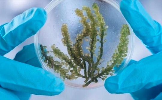 联合国最新研究:开采加密货币会对气候、水和土地造成重大环境影响 联合国最新研究:开采加密货币会对气候、水和土地造成重大环境影响