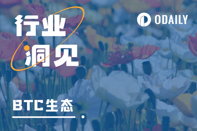 BTC生态协议盘点,哪些协议能笑到最后? BTC生态协议盘点,哪些协议能笑到最后?