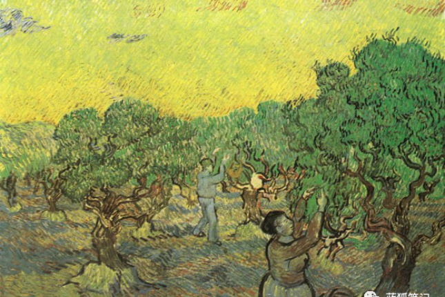 一文理解比特币的Taproot 一文理解比特币的Taproot