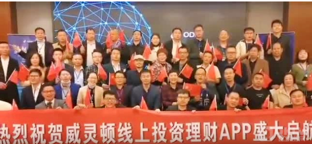 WHDC威灵顿项目崩盘