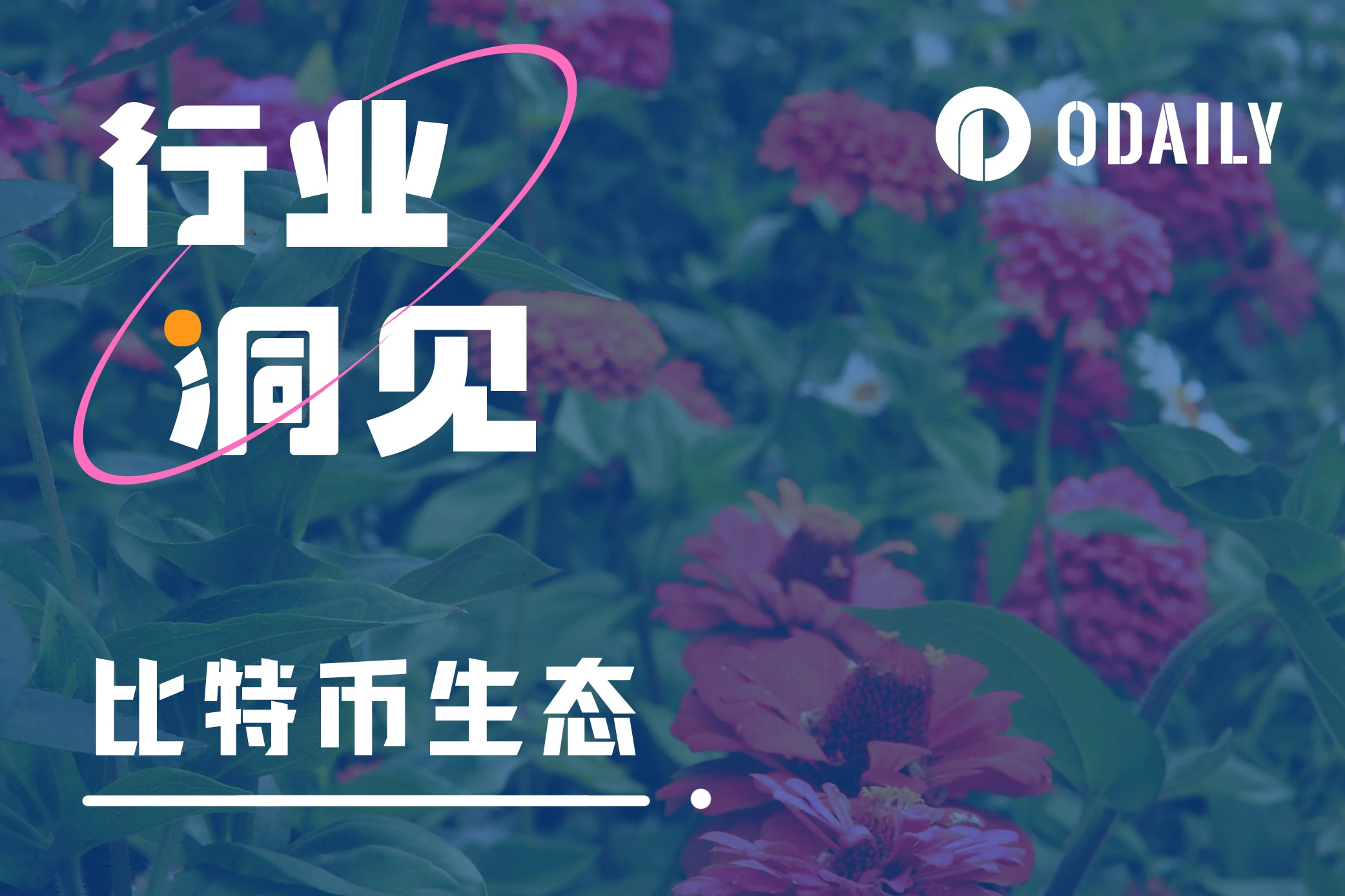 BTC生态 | 入门指南:速通BTC基础知识与热门协议