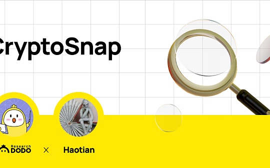 一文看懂BRC20、Atomicals、RUNE、Taproot Assets等协议的独特之处 一文看懂BRC20、Atomicals、RUNE、Taproot Assets等协议的独特之处