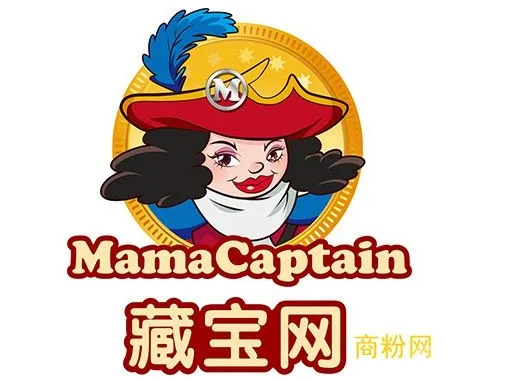 藏宝网特大网络传销