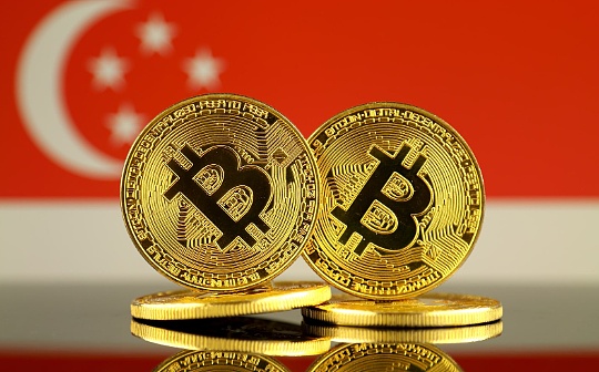 注册新加坡基金会 就能合法发虚拟货币? 注册新加坡基金会 就能合法发虚拟货币?