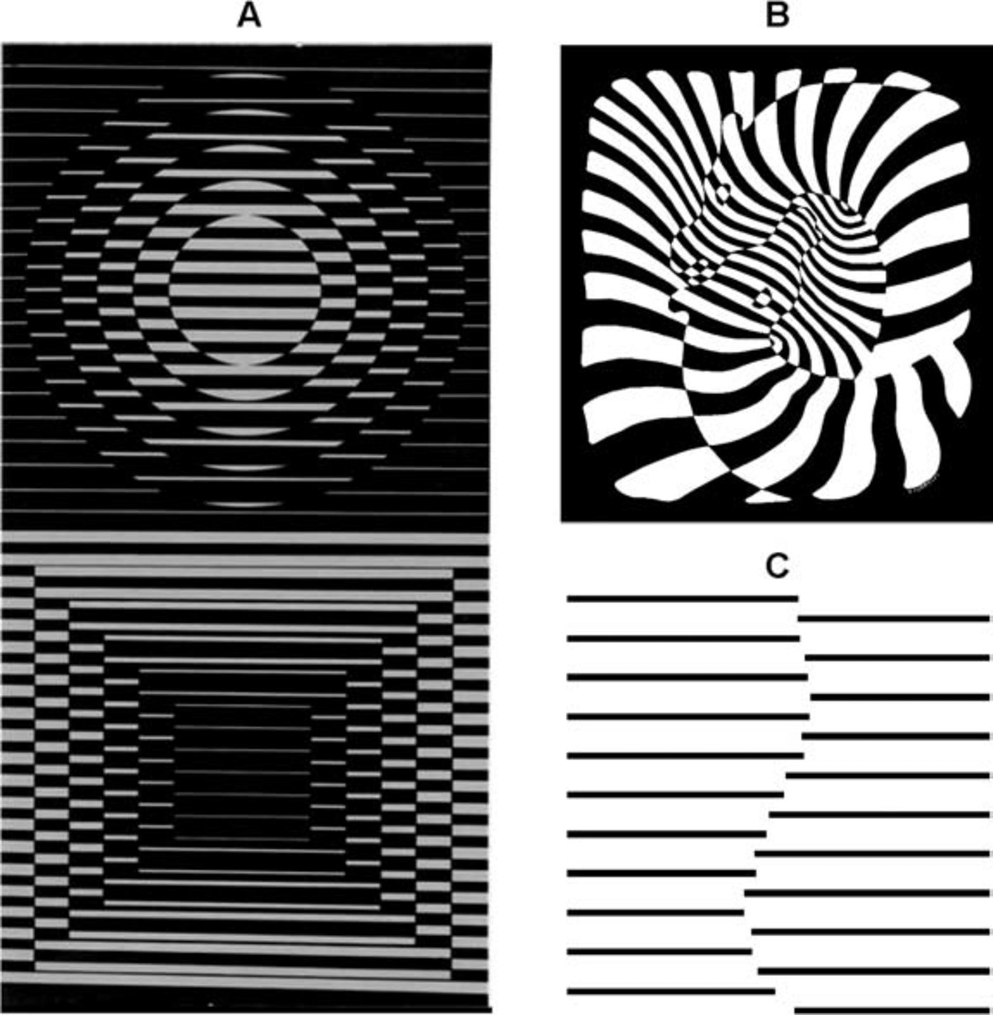 只存在于脑中的幻象，这个AI模型“画”出来了