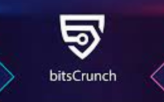 Coinlist最新一期社区销售项目bitsCrunch速览 Coinlist最新一期社区销售项目bitsCrunch速览
