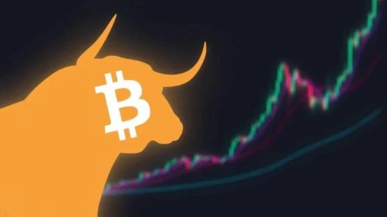 多重利好预期加持下,BTC突破4万美元创20个月新高