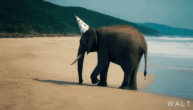 李飞飞谷歌破局之作！用Transformer生成逼真视频，下一个Pika来了？