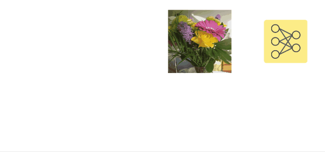 谷歌DeepMind最新研究：对抗性攻击对人类也有效，人类和AI都会把花瓶认成猫！