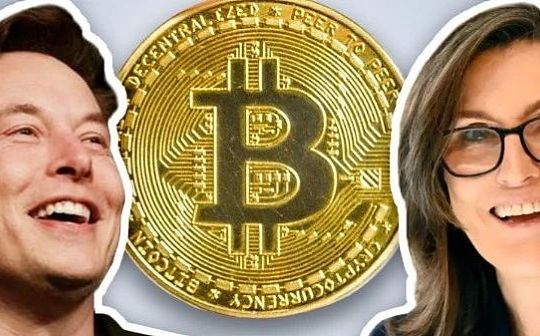 马斯克谈比特币和货币 马斯克谈比特币和货币