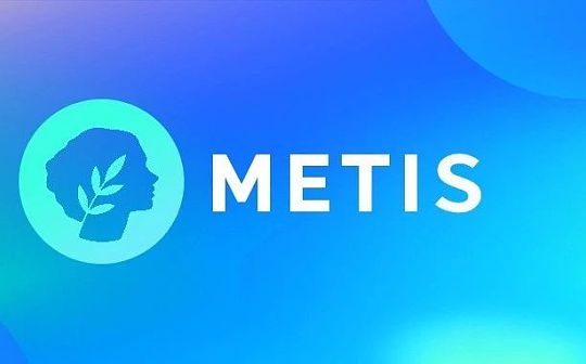 Metis 估值展望 Metis 估值展望