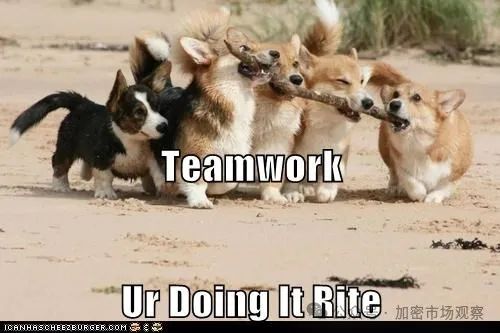 加密只干三件事:邪教、庞氏、赌场?