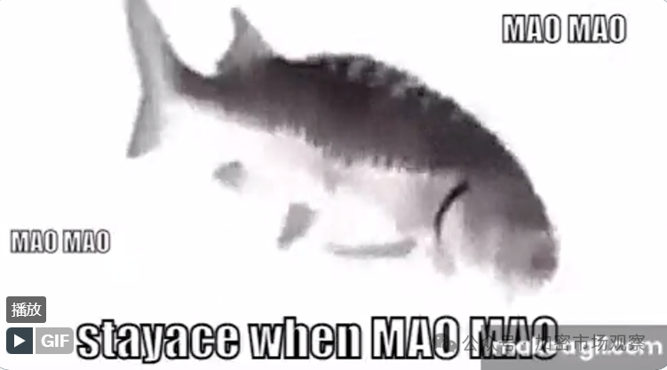 加密只干三件事:邪教、庞氏、赌场?