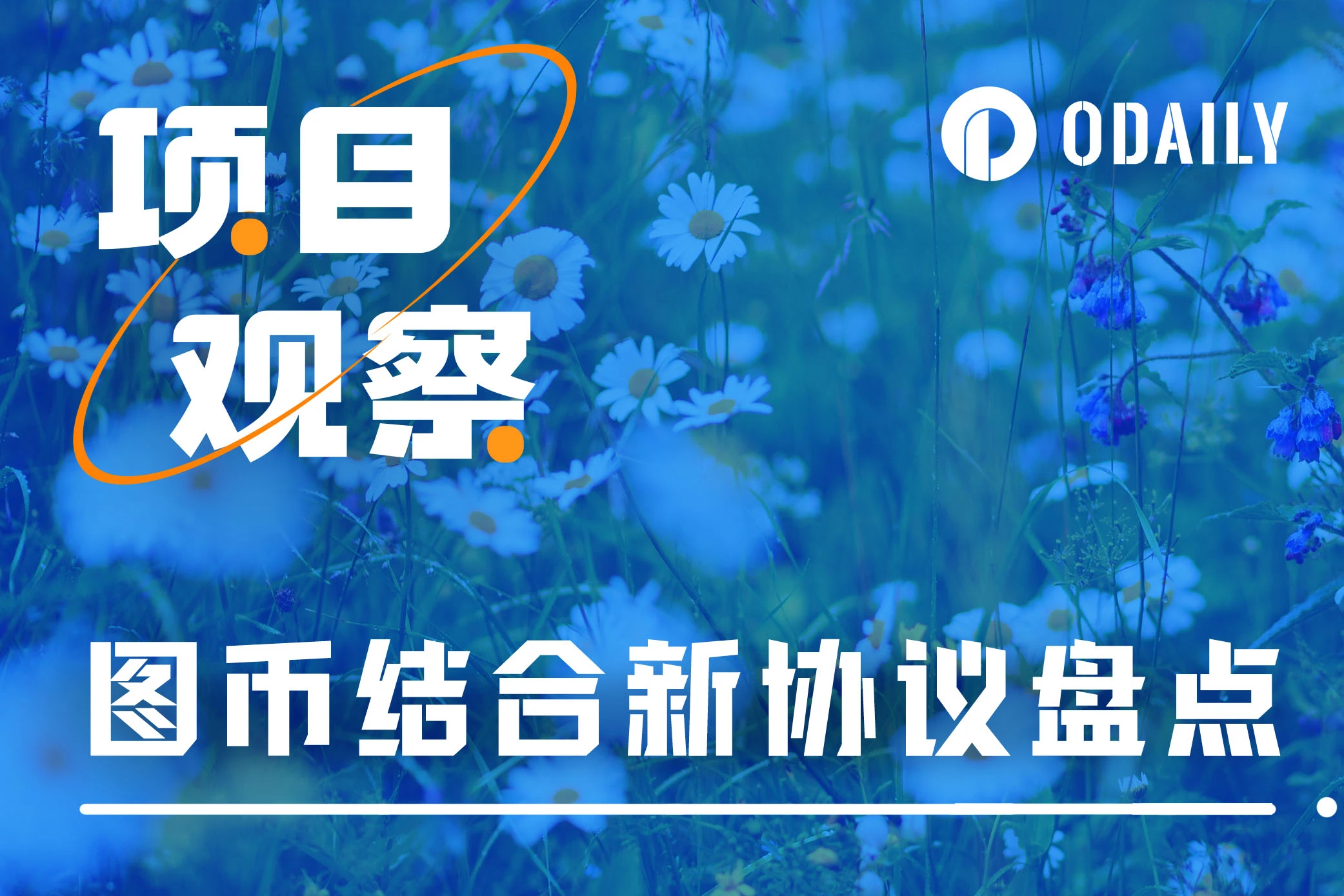 图币结合成为热点,哪些新协议能够接棒ERC-404?