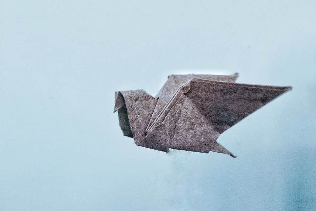 数据复盘50个空投代币:何时出售才能收益最大化? 数据复盘50个空投代币:何时出售才能收益最大化?