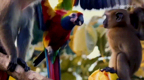 外媒抢先实测Sora，视频大翻车惨不忍睹？不懂物理/动物变形/速度巨慢，但初创公司已经创死一片