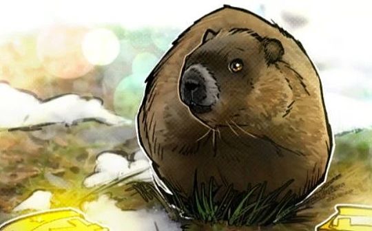 比特币减半日期投注与土拨鼠预测:选择你的战士 比特币减半日期投注与土拨鼠预测:选择你的战士