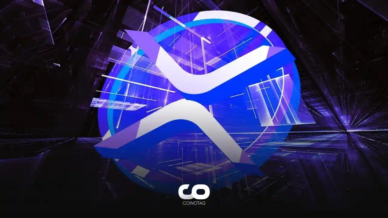 市场调整期间 XRP 累积超过 411 亿,鲸鱼活动激增