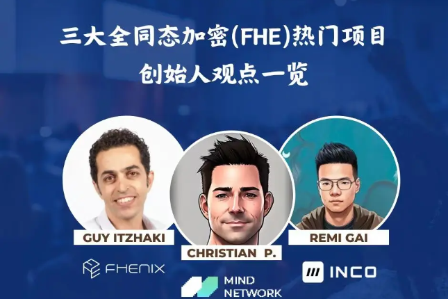 全同态加密叙事已到来？三大FHE热门项目创始人观点一览