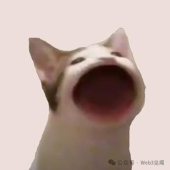 Solana 上的哪些模因币将在 2024 年为您带来 100 倍收益?