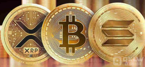 2024年最热门的加密数字货币资讯