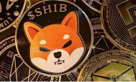 屎币最新价格及未来趋势预测