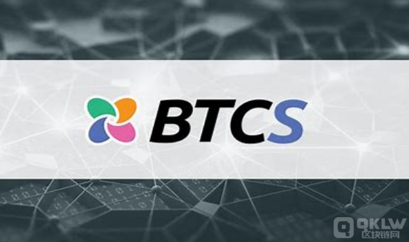 阐述btcs是什么币种及其未来发展 阐述btcs是什么币种及其未来发展