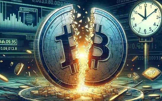 特殊的牛市?第四次“减半”多项指标被打破 特殊的牛市?第四次“减半”多项指标被打破