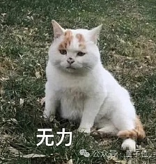 Ilya离开OpenAI内幕曝光:奥特曼砍他团队算力 优先搞产品赚钱