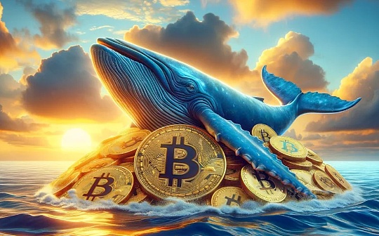 中本聪、机构和巨鲸:谁持有最多比特币? 中本聪、机构和巨鲸:谁持有最多比特币?