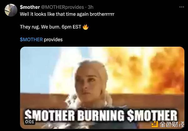 大多数名人Meme都归零了，为何Iggy Azalea的$MOTHER却成功了？