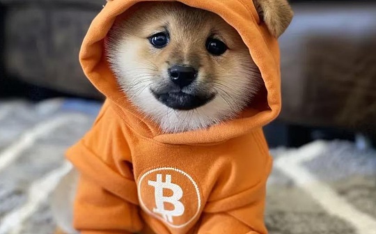 比特币生态流量争夺:狗与披萨领衔主演 比特币生态流量争夺:狗与披萨领衔主演