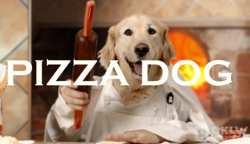 比特币生态流量争夺战:狗与披萨领衔主演 比特币生态流量争夺战:狗与披萨领衔主演