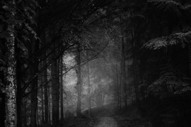 空投前生态项目方跑路,zkSync成「rug链」? 空投前生态项目方跑路,zkSync成「rug链」?