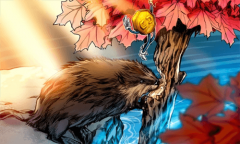 加拿大加密平台面临注册最后期限 加拿大加密平台面临注册最后期限