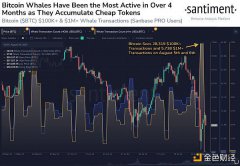 Santiment:BTC巨鲸交易量在暴跌期间创4个月最高 Santiment:BTC巨鲸交易量在暴跌期间创4个月最高