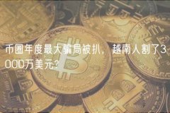 币圈年度最大骗局被扒,越南人割了3000万美元? 币圈年度最大骗局被扒,越南人割了3000万美元?