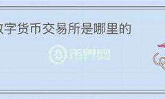 xt数字货币(数字货币tt)