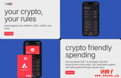 Avalanche推出加密支付卡!有何特色?哪些地区可使用? Avalanche推出加密支付卡!有何特色?哪些地区可使用?