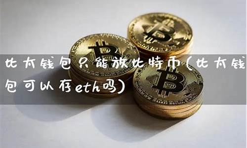 可以存比特币的钱包有哪些(比特币能存在内存卡吗)